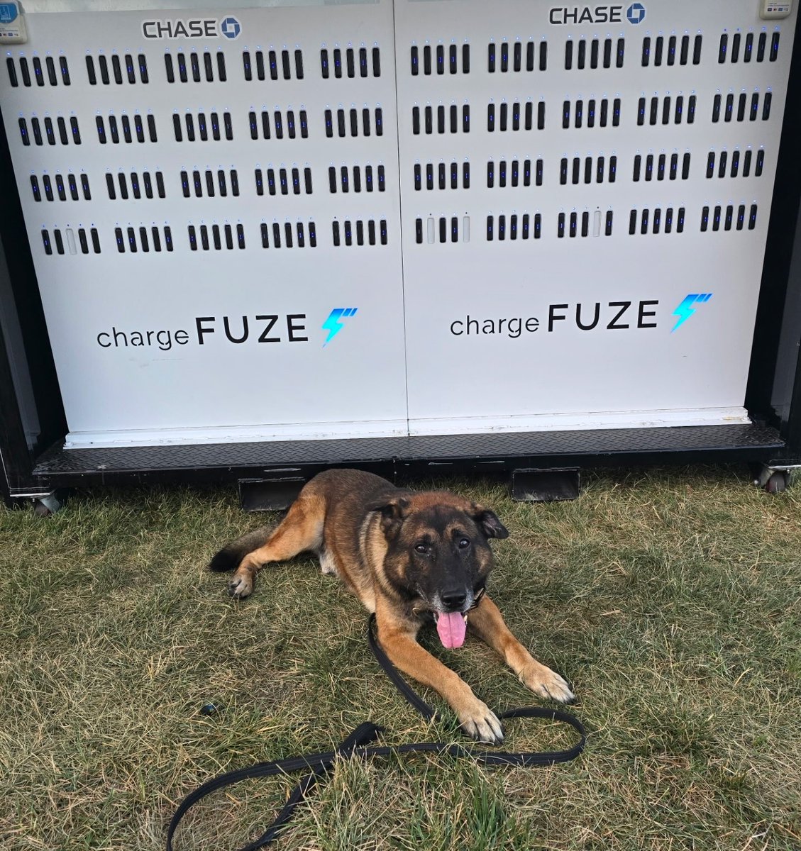 K-9 Fuze is celebrating a birthday today.This highly trained explosive detection/patrol dog is 11yrs old &amp; remains a valuable asset to the #MCSONJ's K-9 Unit.  S/O Ralph Irizzary &amp; Fuze make a great team. <a href="/sheriffgolden/">Shaun Golden</a> thx both for their service &amp; dedication to combatting crime.