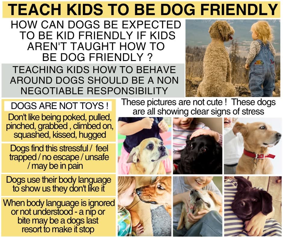 Patchwork Paws U.K. (@patchworkpawsuk) on Twitter photo πΆ Teach kids to be dog friendly! π¨βπ©βπ§βπ¦
Dogs are amazingly tolerant & patient with us but, itβs up to us to supervise interactions & teach our children how to respect & behave around dogs, to keep them both safe... π₯°π
Pls share #k9hour π
Infographic by #DogsDisclosed π πΆ Teach kids to be dog friendly! π¨βπ©βπ§βπ¦
Dogs are amazingly tolerant & patient with us but, itβs up to us to supervise interactions & teach our children how to respect & behave around dogs, to keep them both safe... π₯°π
Pls share #k9hour π
Infographic by #DogsDisclosed π