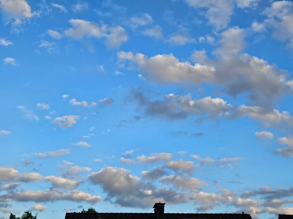 Evening sky 🌤