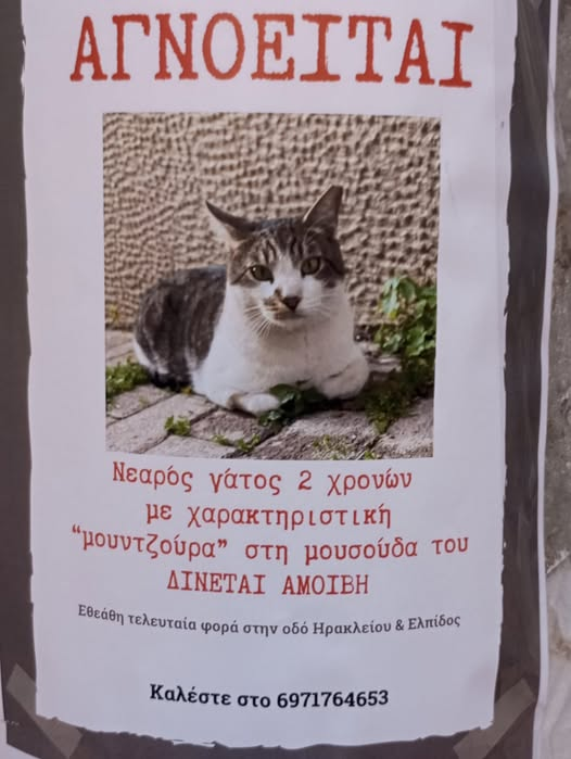 🆘🆘🆘🆘
Νέα Ιωνία Αττικής.