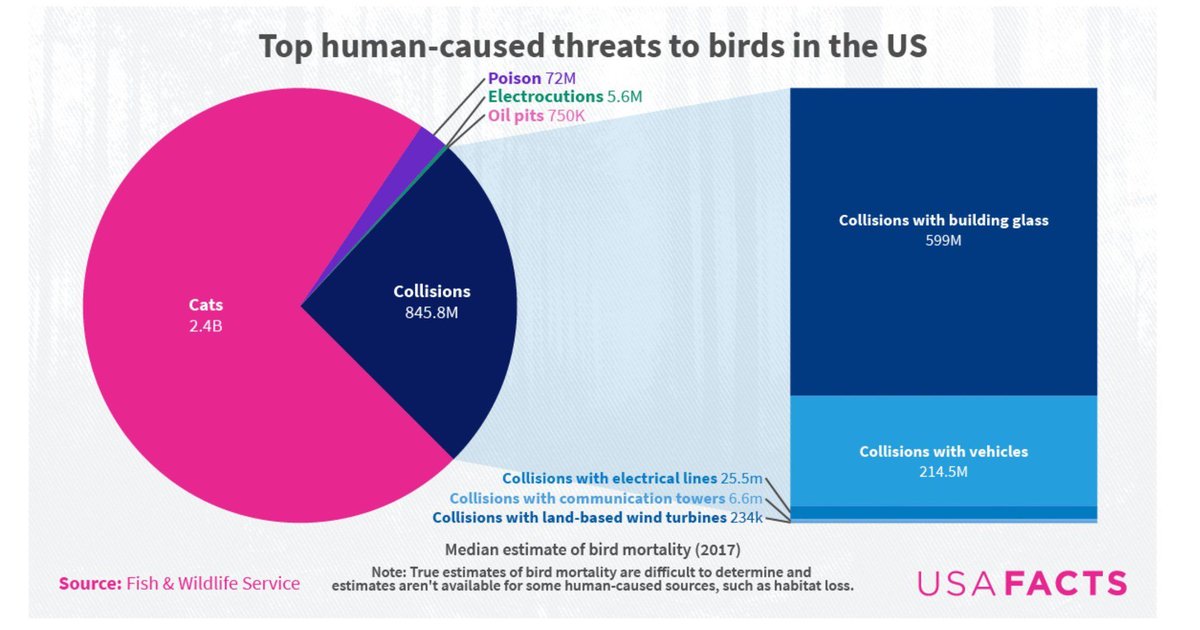What’s killing birds in the US? For all intents and purposes wind turbines don’t matter. It’s cats that need to be outlawed. Sounds like a chart from “Dogs doing data” but it’s from @USAfacts.