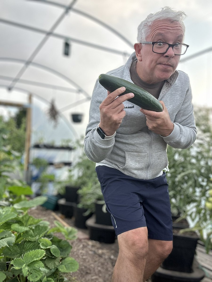 pvt_ak's tweet image. CAPTION THIS:

🥒🤔
#CaptionThis #AllotmentAntics #DanglyDrama #CucumberChronicles