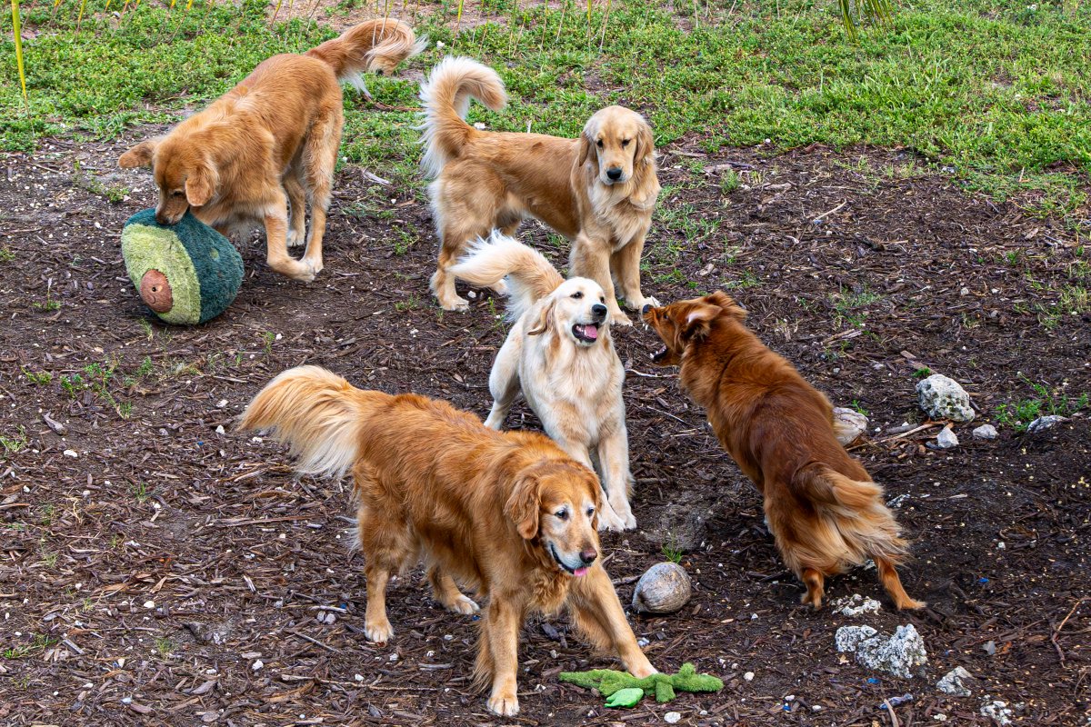 TheGoldenRatio4's tweet photo. Hi, Sorry for the delay in responding to your email. There's just...a lot going on right now. -xoxo

What's going on right now: https://t.co/R8Ie3E46Qv