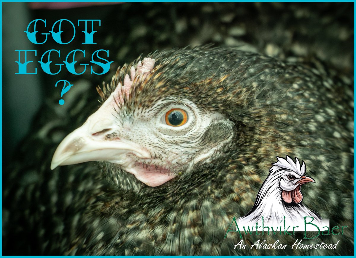 Fresh eggs are the best eggs.