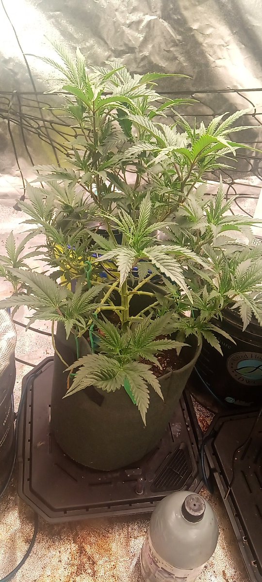 Tyler Beilby tweet media