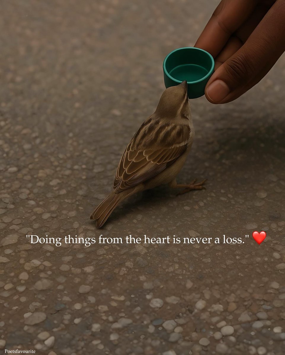 Mind Essentials (@mind_essentials) on Twitter photo 