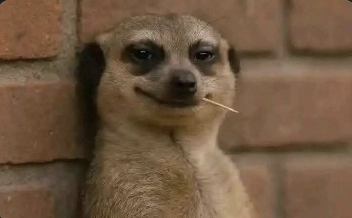 Definitely nobody:
        Restaurant owner watching you eat chicken that died on its own:...👇😫😭😹😂