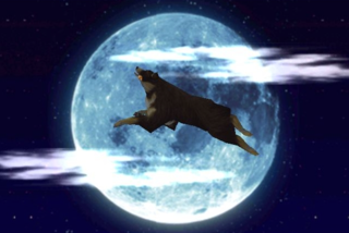 Si vais a salir a tirar petardos estas fiestas, recordad que los perretes son sensibles a los sonidos estridentes y si podéis ir a una zona algo alejada, les hacéis un favor muy grande. Es por su salud. ❤️

PD: Todos menos Angelo, Angelo es el perro cañón y se la suda.