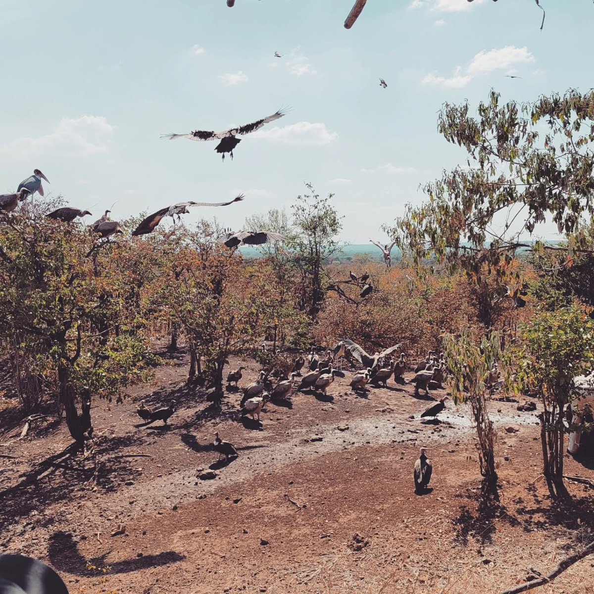 macndovi's tweet image. #WhileatWork Mosi-oa-Tunya (&quot;the Smoke that Thunders&quot;)

#victoriafalls #d6schools #AssociationOfTrustSchoolsZimbabwe 2025 CHISZ Conference #Zimbabwe