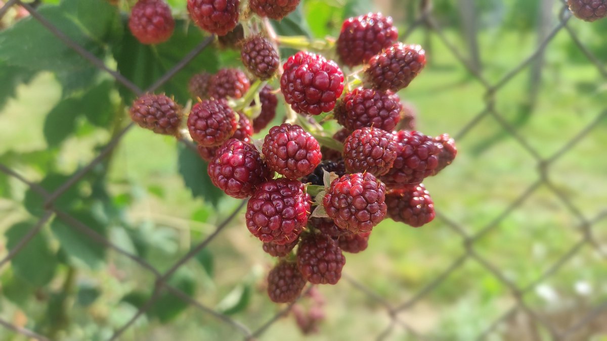 RenataKonkoly's tweet image. My goal is to beautify your timeline with my photos - challenge… ✨