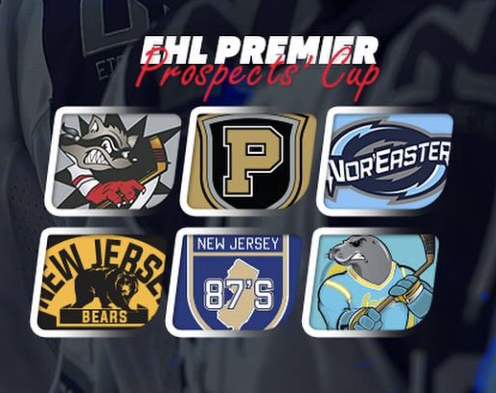 Another huge opportunity for our EHL Premier team. 

Getting an opportunity to play in the Prospects Cup is a an huge step in getting even more. 

Always deliver