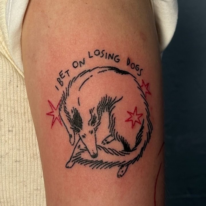 EU APOSTO EM CACHORROS PERDEDORES