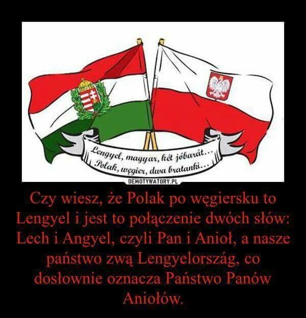 24 - 29 CZERWCA Narodowa Pielgrzymka Węgrów 
na Jasną Górę