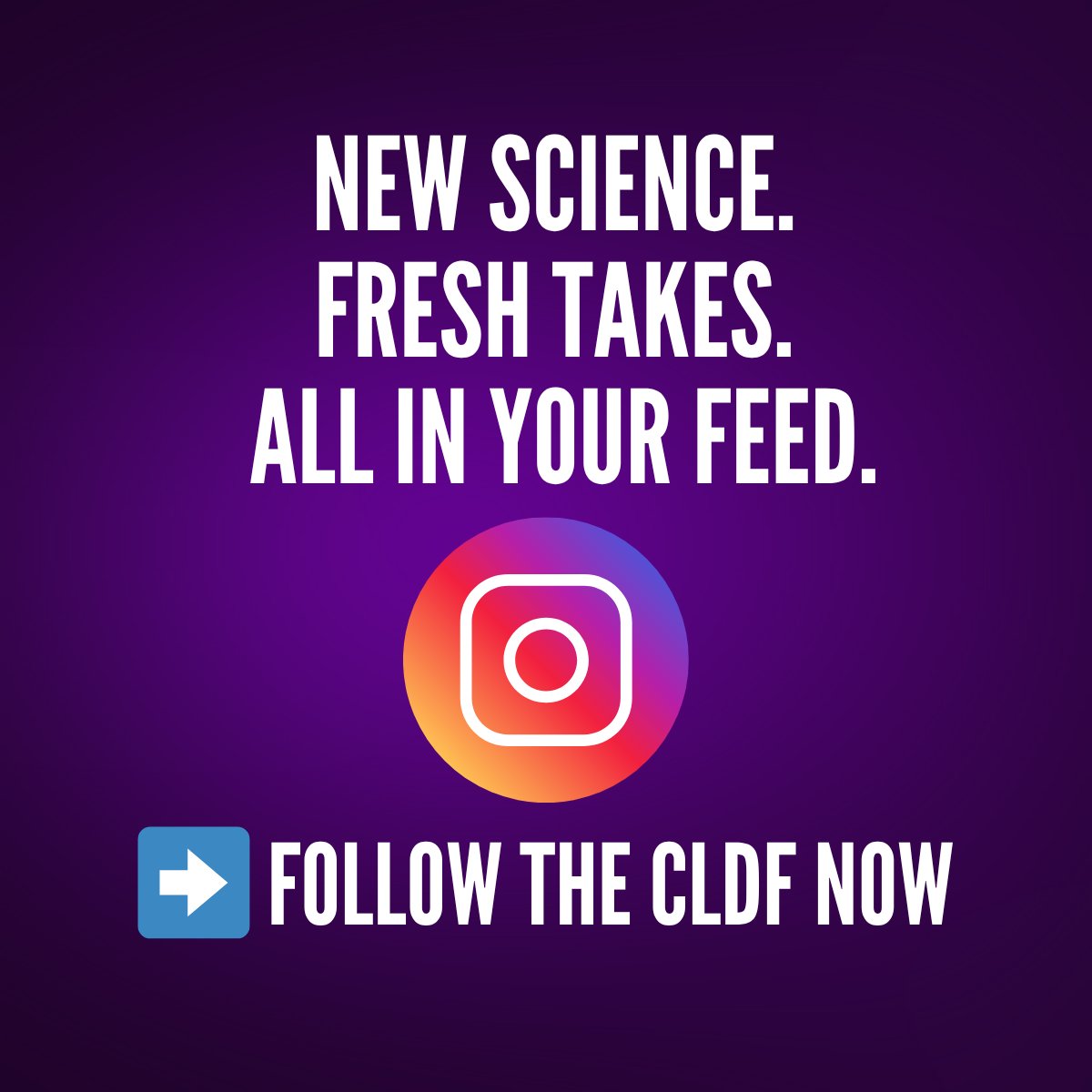 CLDFoundation's tweet image. @Chronicliverdiseasefoundation is on Instagram! Don't miss out🤩