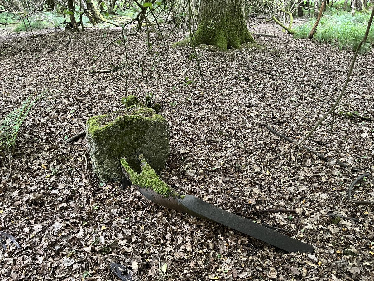 Gort_Line's tweet image. Under the cover of Elgin Coppice, Hatfield Forest, are the remains of an ordnance store for RAF Stansted Mountfichet, opened in 1943. Used by the USAFF as a bomber airfield; the 344th Bomber Group operated from here on D-Day.  Connected to the airfield by a light railway.