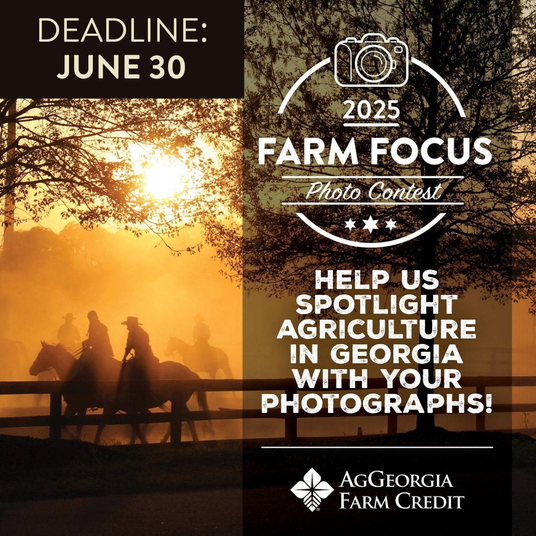 📸 Only 8 days left to enter AgGeorgia’s Farm Focus Photo Contest!
Submit your best shots of country living and agriculture for a chance to win up to $250 and be featured in our 2026 Farm Focus Calendar!
Don’t miss out—deadline is June 30th!
👉 Enter here: bit.ly/4ecJKq6