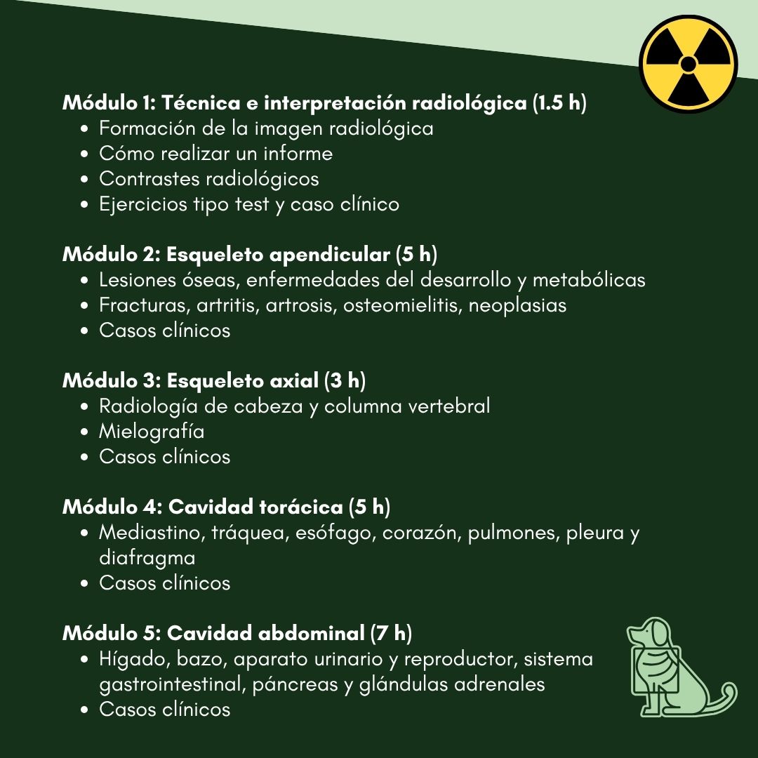 ¿Quieres ganar seguridad leyendo radiografías? Inscríbete al nuevo #cursoonline de AVEPA: 43 vídeos, casos reales y 4 meses de acceso.
16,2 pts #GEDI · Empieza el 15/09 · Inscripciones abiertas
+info en avepa.org/rx-2025/
#RadiologíaVeterinaria #FormaciónVeterinaria