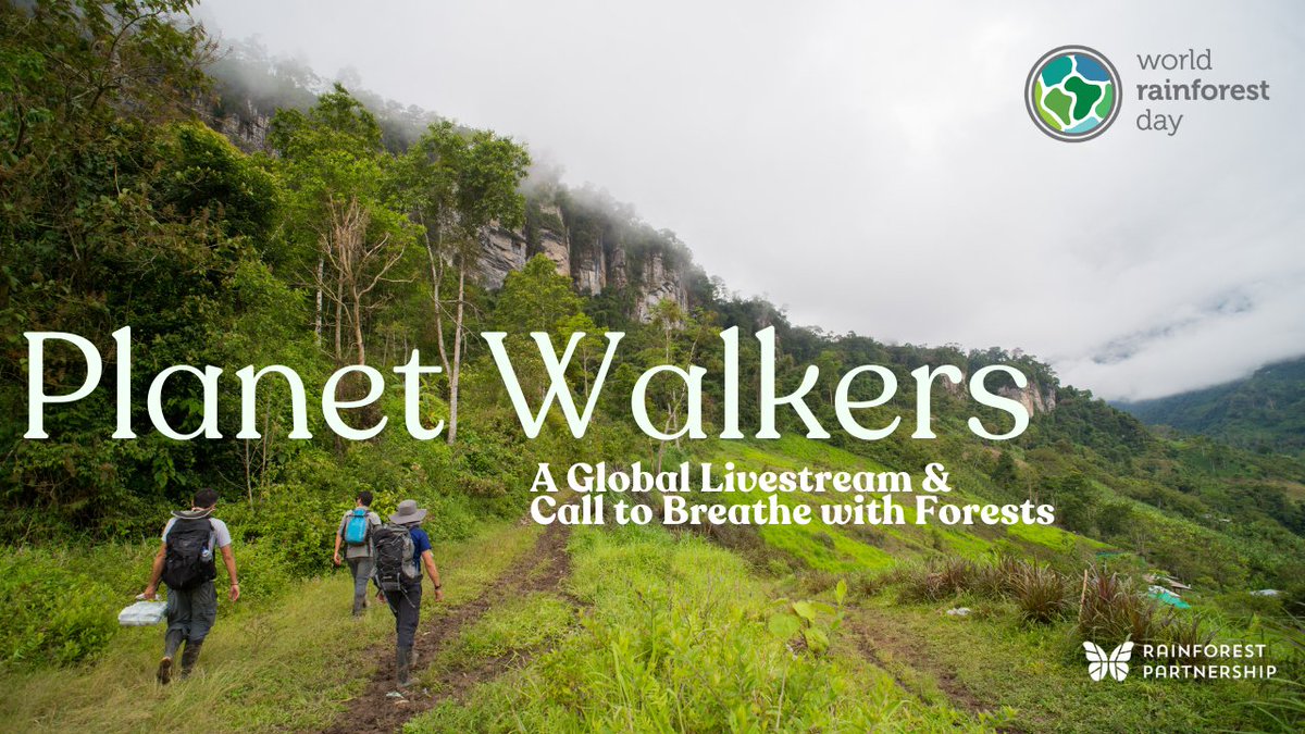 The stories. The voices. The global rhythm. 🌍

The Planet Walkers livestream captured something real—and it’s not too late to feel it.

📺 Watch now: worldrainforestday.org
#WorldRainforestDay #BreatheWithUs #PlanetWalkers