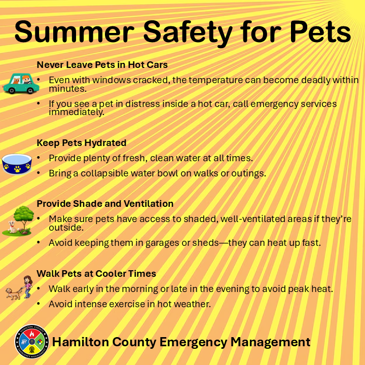 It's really hot out there! If you have a pet that loves to be outside, check on them a little more often to be sure they have plenty of water and shade. If possible, take a walk this evening after it starts to cool down a little bit.
