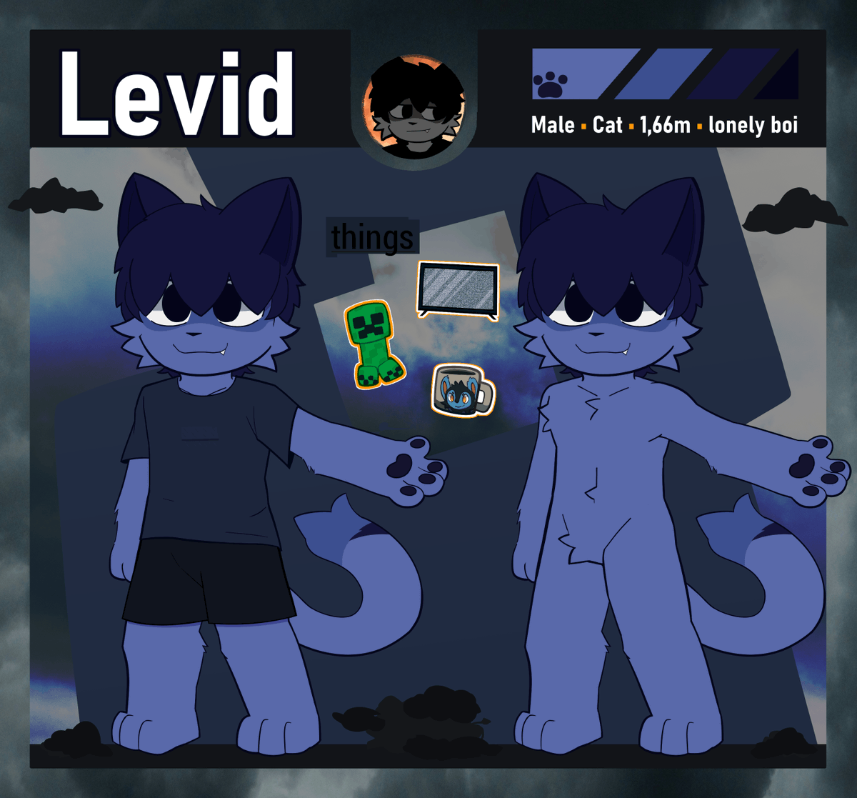 Levid ☁️ tweet media