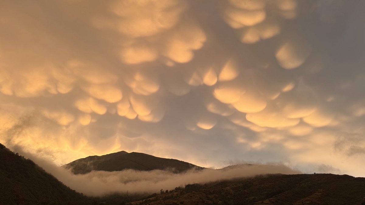 Esperant la baixada de Falles a Isil. ⁦@eltempsTV3⁩