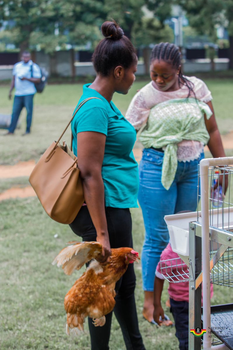 _nsagh's tweet image. The National Service Authority (NSA) brought the heat to the Afua Sutherland Children’s Park in Accra over the weekend during Channel One TV’s AgriFair 2025. Attendees were treated to an Exciting Array of Agro-Products, including Fresh Broilers, Catfish, Farm-Fresh Eggs, and…