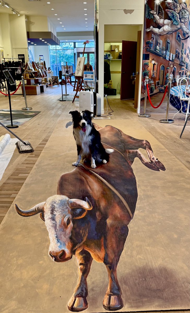 We had a special visitor at the gallery this past weekend, Allan , a border collie from Ukraine that is now a special guest with his parents here in the us.  

He loved going from piece to piece to pose here at Canvas Convergence 

@alexmaksiov @westopolismn @shopsatwestend