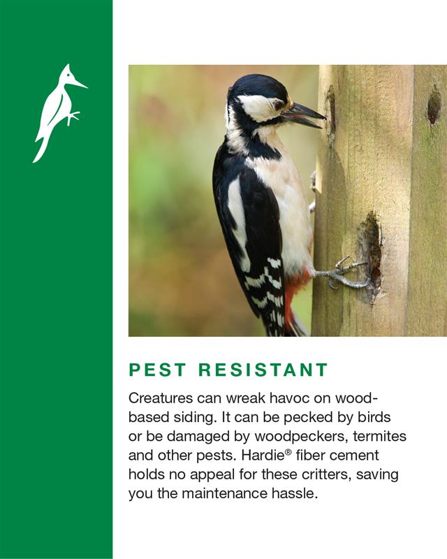 JamesHardie's tweet image. Help protect your home with siding that stands up to the elements.
Hardie® fiber cement products resist damage from wildfire, water, weather, pests, and time — helping protect your most precious asset for the long haul.
See how Hardie® products help protect your home with…