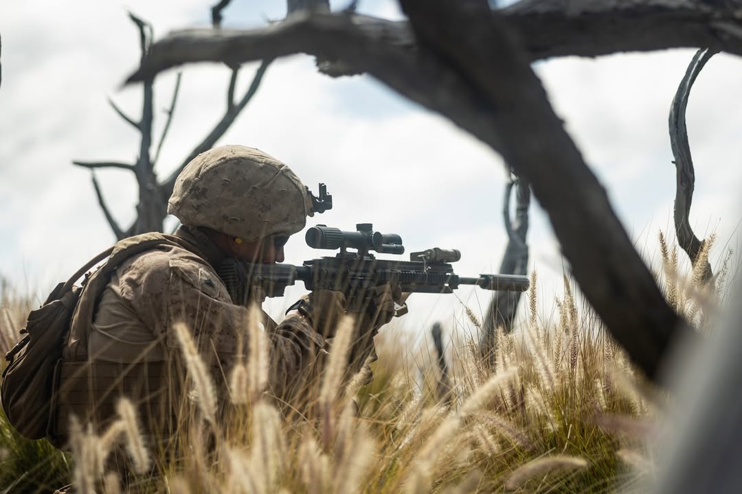 Trijicon, Inc. (@trijicon) on Twitter photo Training to lead from the front. 3d MLR runs live-fire at PTA with VCOGs on deck—prepping to support exercises in the Philippines. It’s our honor to provide gear to U.S. Marines around the globe.
📷: <a href="/USMC/">U.S. Marines</a> & Marine Cpl. Malia Sparks Training to lead from the front. 3d MLR runs live-fire at PTA with VCOGs on deck—prepping to support exercises in the Philippines. It’s our honor to provide gear to U.S. Marines around the globe.
📷: <a href="/USMC/">U.S. Marines</a> & Marine Cpl. Malia Sparks
