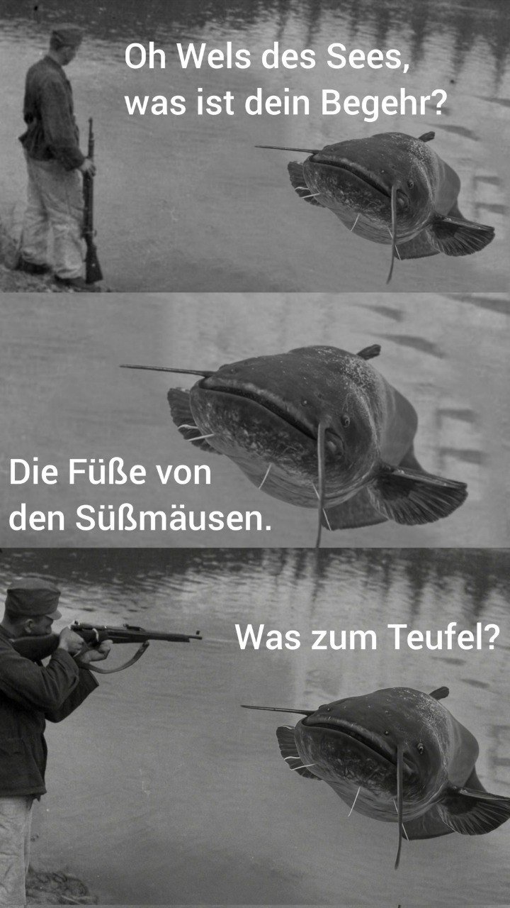GuJwtb3XwAAAcdq