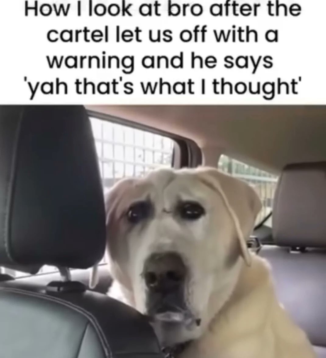 McNyale (@mcnyale) on Twitter photo 