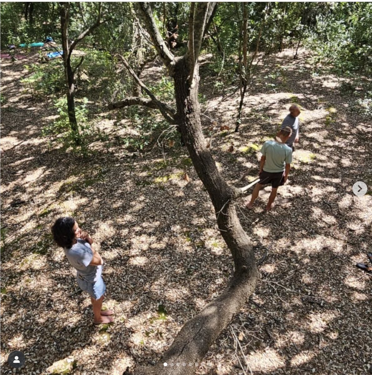 ARBREBALEAR's tweet image. Hace unos días vivimos una experiencia mágica ✨de #BaileenelBosque en las Fonts Ufanes.
A través de los sentidos, invitados por las texturas del bosque, el canto de los pájaros, los olores y la contemplación del entorno, logramos trabajar la atención plena, la propiocepción, la…