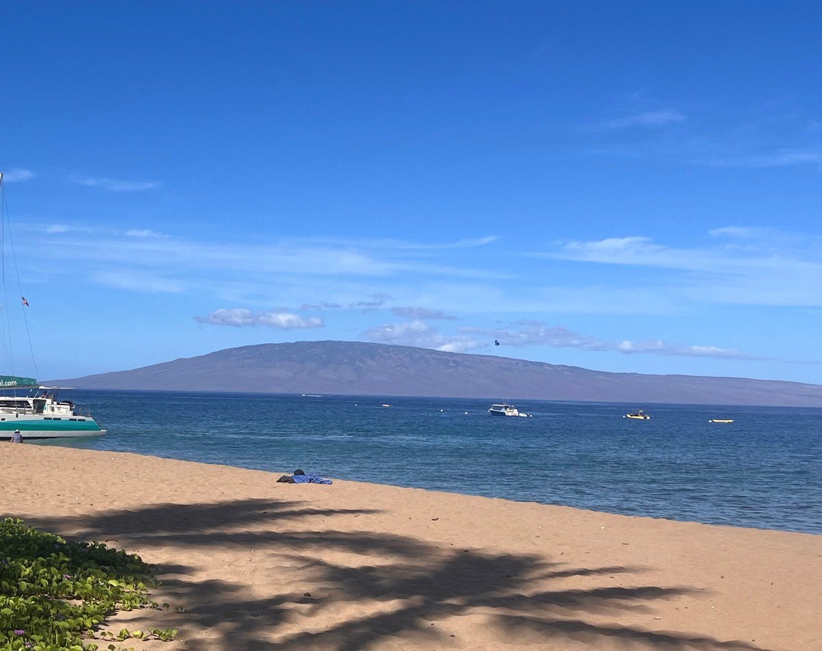 CarlyHiebner's tweet image. With a view like this, the words should be flowing out of me like lava, but I have 3 kids at the beach so…