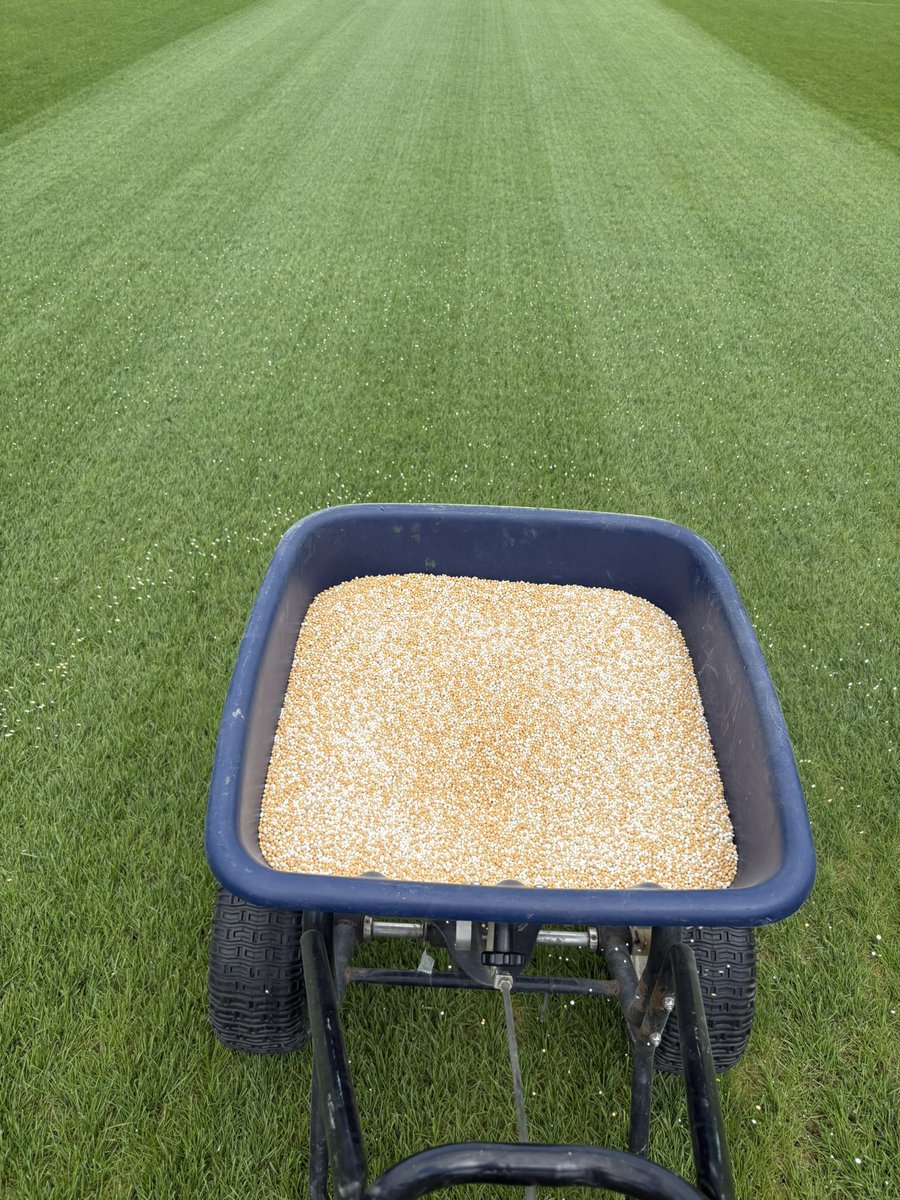 A busy day at Waltham Abbey FC today. 

Pitch starting to take shape ready for the new season after a full Koro renovations

#garsonsgroupltd #sportsturf #walthamabbey