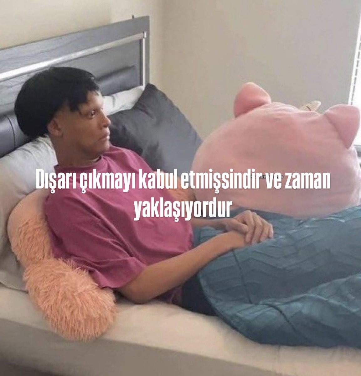 ezgi (@zirtiss) on Twitter photo 