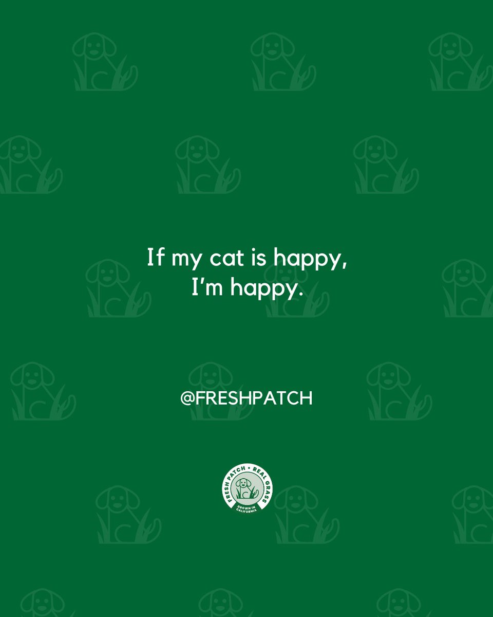 FreshPatch's tweet image. Their joy is mine 🐶🐈️🐇✨️⁠
⁠
#FreshPatch #PetParentLife #HappyPetsHappyMe #FurFamilyLove