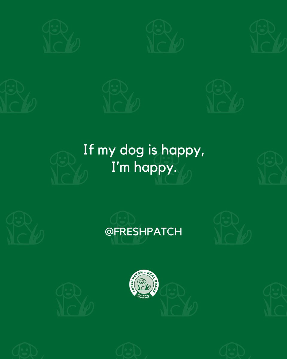 FreshPatch's tweet image. Their joy is mine 🐶🐈️🐇✨️⁠
⁠
#FreshPatch #PetParentLife #HappyPetsHappyMe #FurFamilyLove
