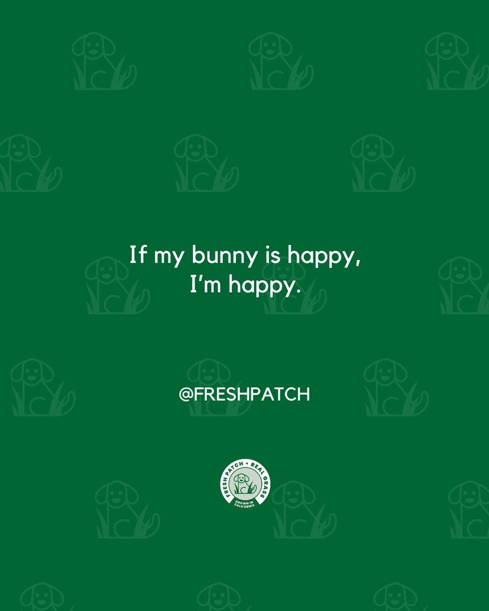 FreshPatch's tweet image. Their joy is mine 🐶🐈️🐇✨️⁠
⁠
#FreshPatch #PetParentLife #HappyPetsHappyMe #FurFamilyLove