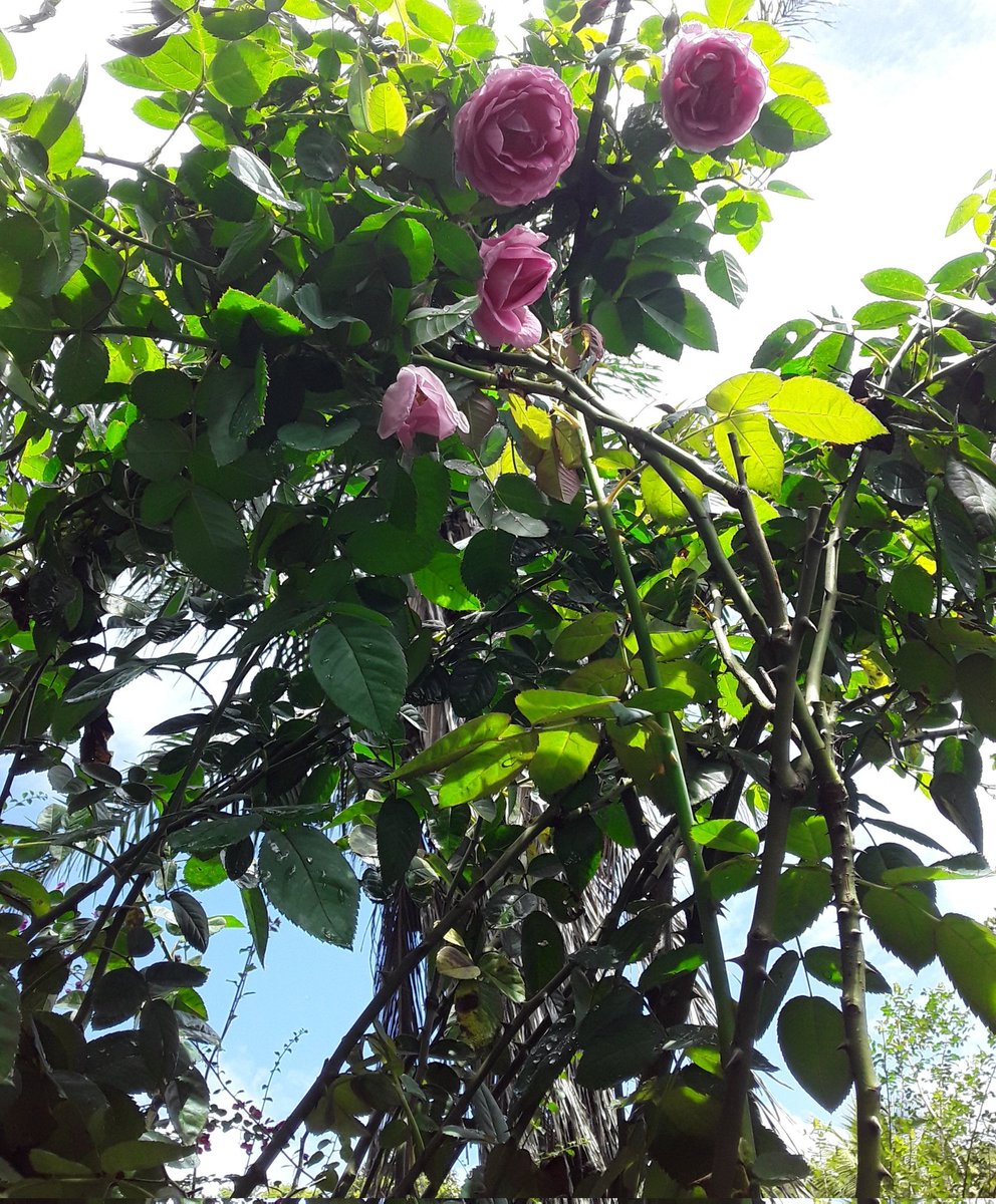 Nothing will change unless you take the risk of doing something...

My 📸 
My 📝