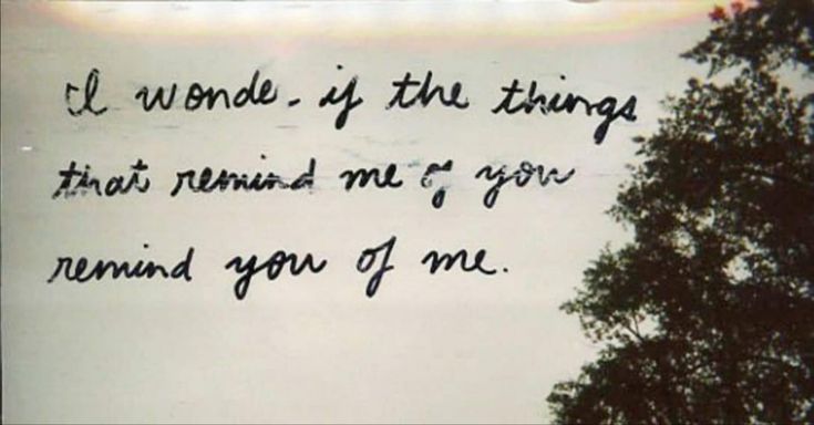 lustxidity's tweet image. 📝