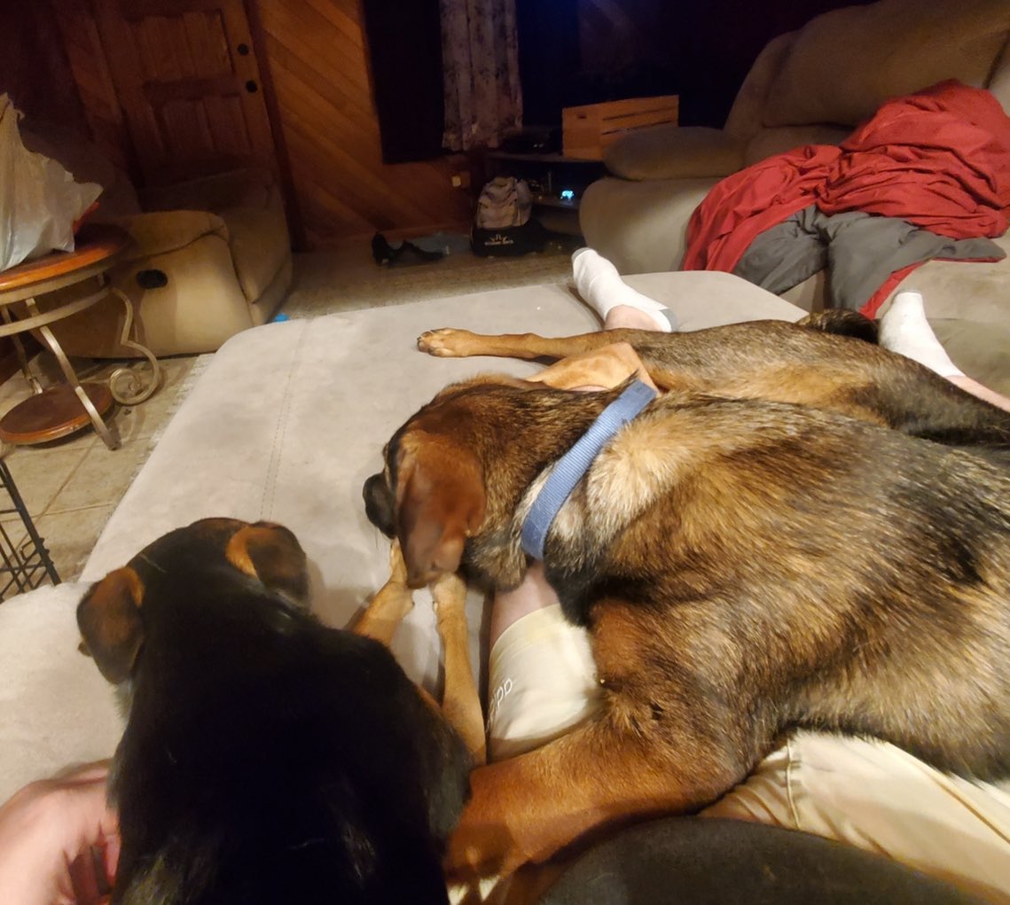 beckste97's tweet photo. @tiannaescobar  my dogs > your dad https://t.co/Se1zUx7tvy