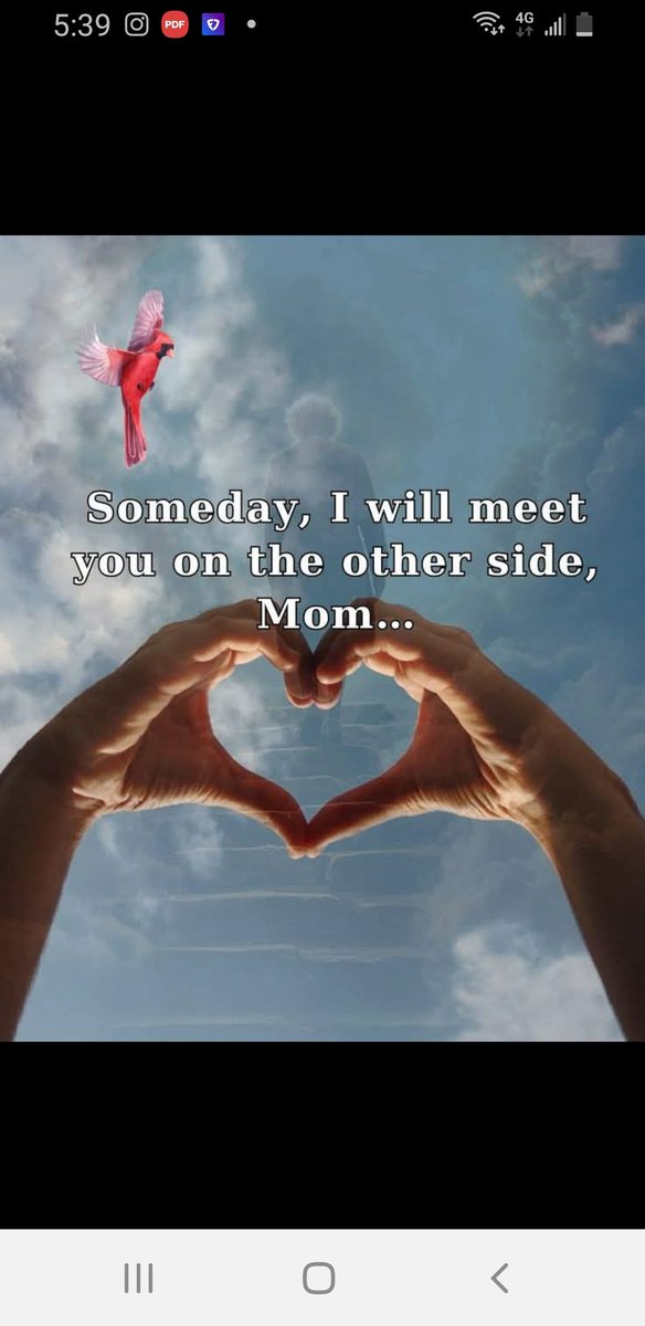 Bonnie Walker 🇨🇦 tweet media