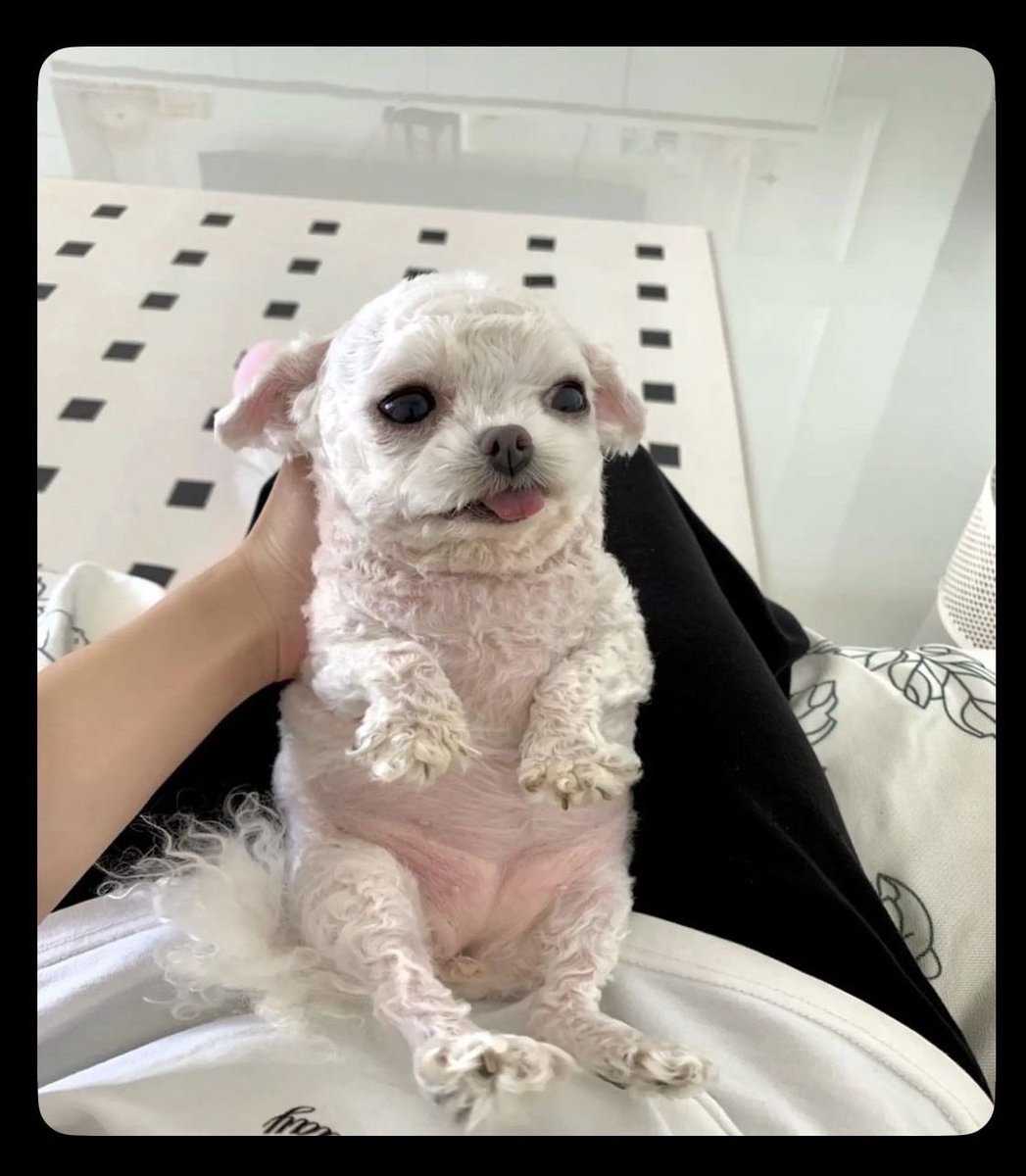 twaniimals's tweet photo. https://t.co/VMeSjQo5zl