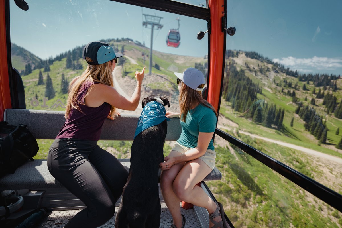Ride the gondola, grab dinner with a view at the Summit House, then skip the drive and stay overnight.

While everyone else heads down the mountain, you're ordering dessert and watching the sky catch fire.

Crystal’s better when you linger.
visitrainier.com/crystal-mounta… #summer