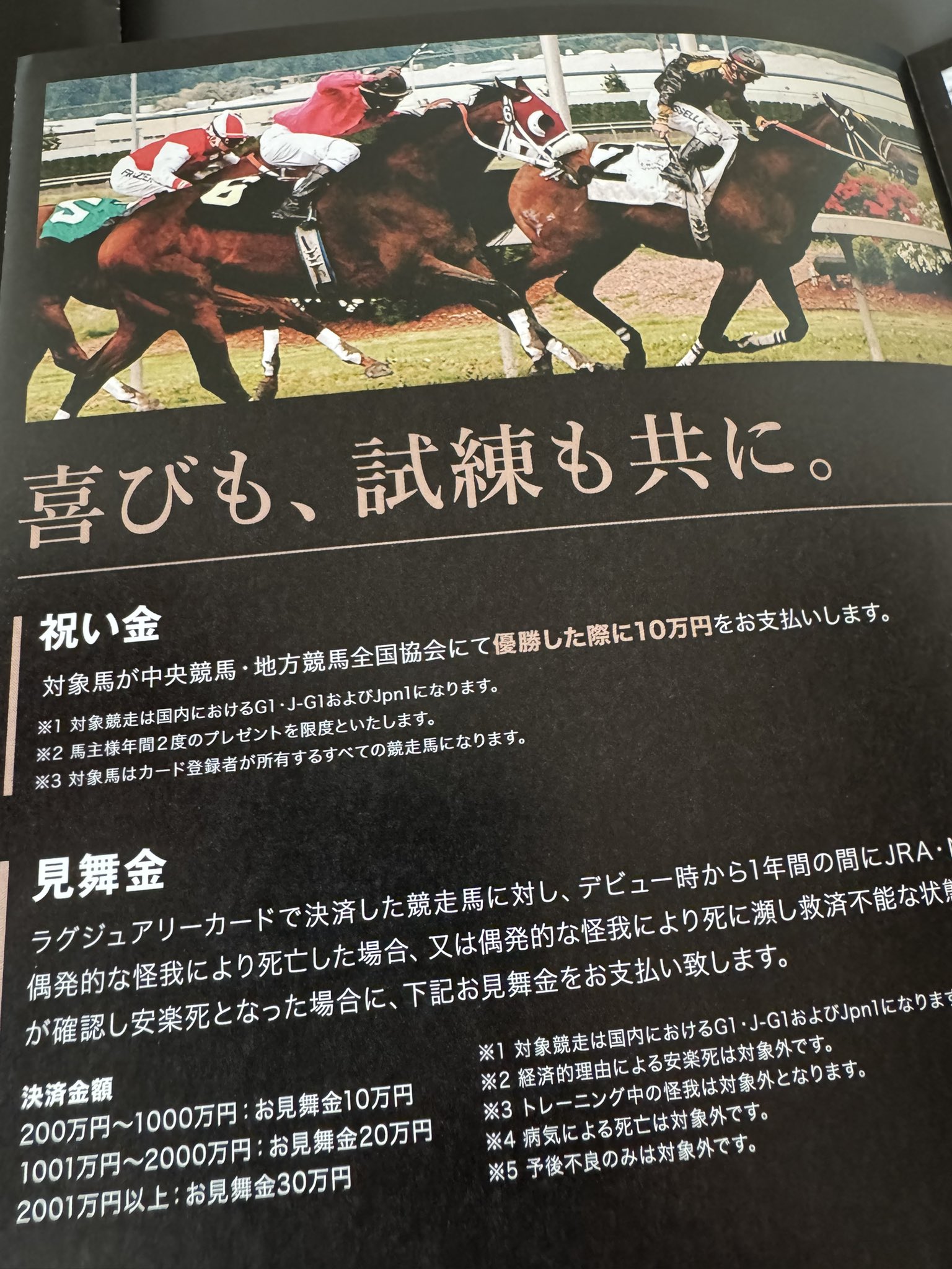 競馬占いと作戦 【書き込みあり】 Amazon.co.jp: メイショウサムソン ポスター ヒーロー列伝63