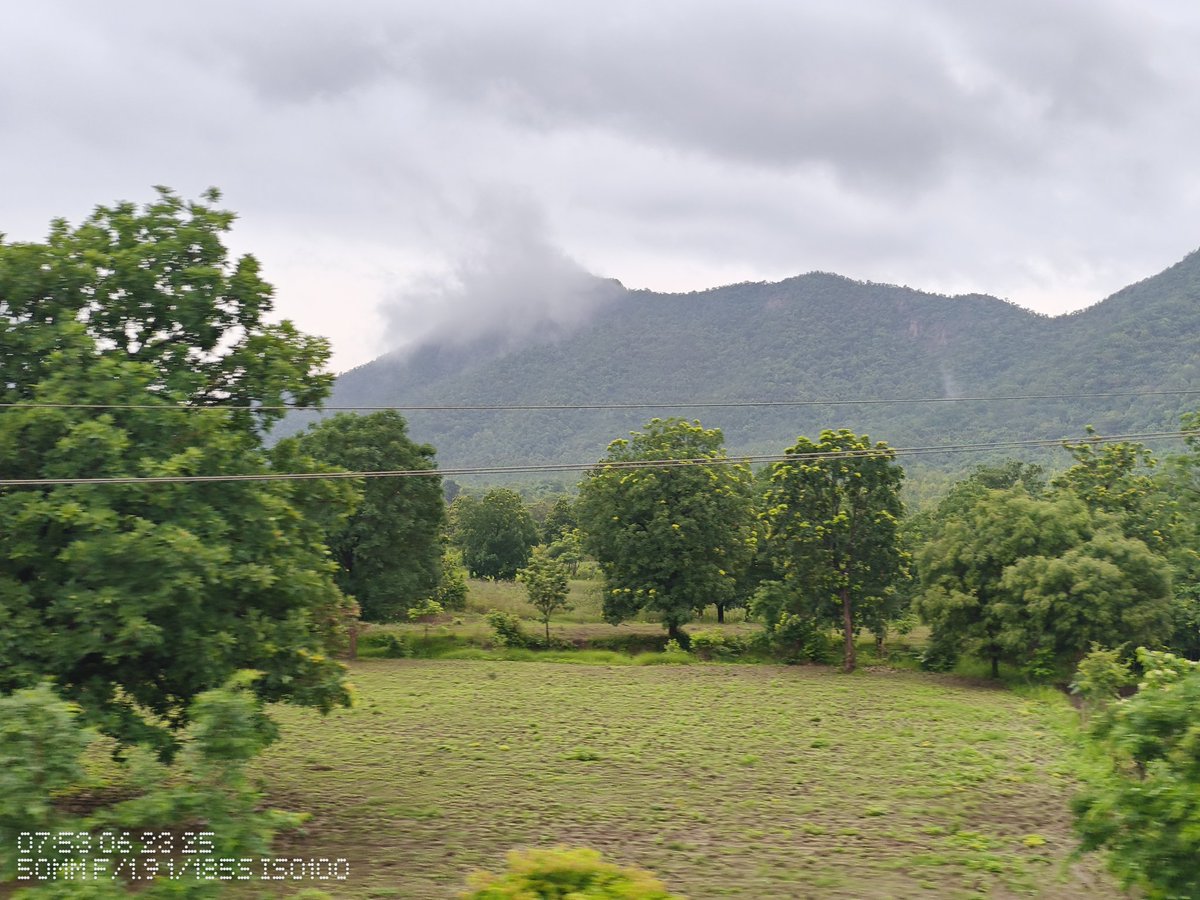 Jitendr021's tweet photo. Subha sakala 
#nature #trending #viral #wildlife #MorningVibes #viralpost2025 https://t.co/6D8tqWjgE3