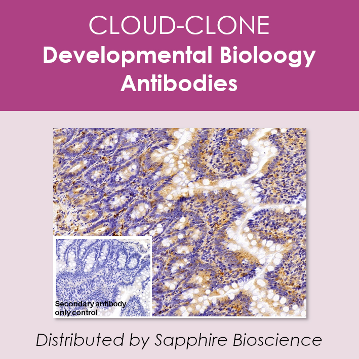 Cloud-Clone's Developmental Biology Antibodies are available as either polyclonal, or monoclonal, and in a range of different species and sizes. Available in Australia and New Zealand from Sapphire Bioscience! 
sapphirebioscience.com/cloud-clone-de…