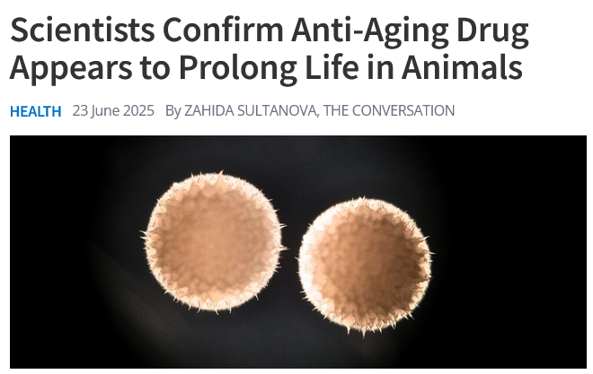 Dr_Singularity's tweet photo. A new study reviewed 167 studies across eight animal species and found that rapamycin closely mimics the life extending effects of eating less, while metformin showed no clear benefit. 

Rapamycin, originally discovered in bacteria from Easter Island, works by blocking cellular nutrient signals and shows strong promise as an anti-aging therapy.