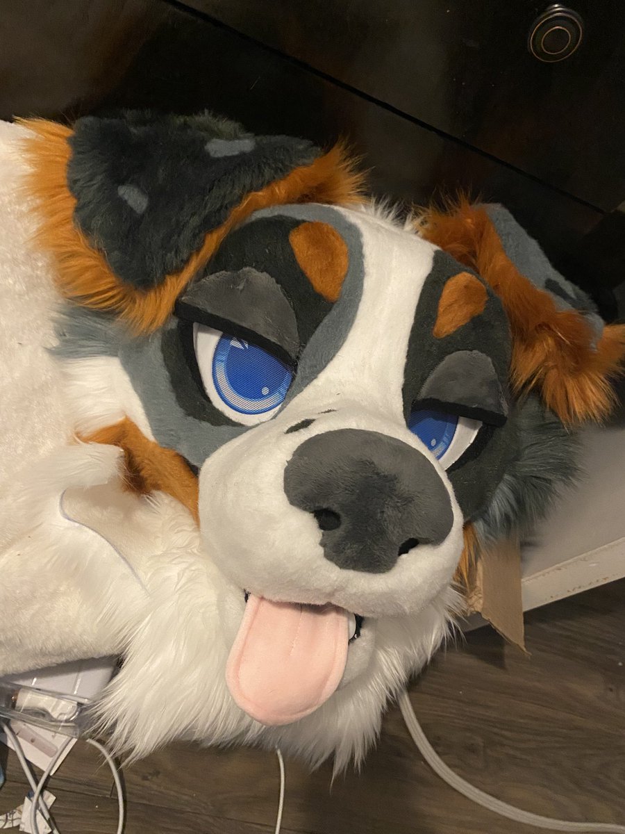 Camiโค๏ธ (@aquaiights) on Twitter photo the fursuit of all time woof woof the fursuit of all time woof woof