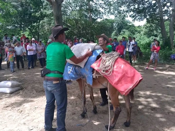 #ProvinciaGranma En este XXIII  Evento de Arrieros y Fabulaciones Serranas en #BueyArriba  compartimos hoy con gente humilde e imprescindible de nuestras serranías .
#CubaEsCultura